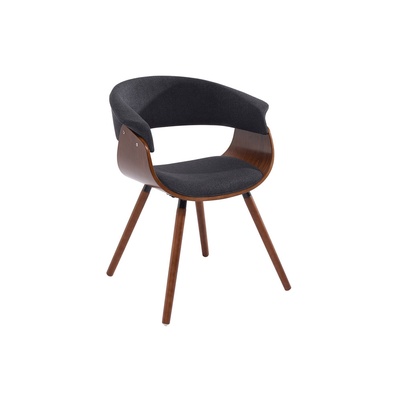 


Riley Dining Chair, Modern Dining Room Furniture by New Avenue Boutique - Mississauga Furniture Store
