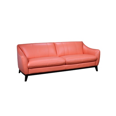 Paris Sofa, Modern Living Room Furniture by Mississauga Furniture Store, New Avenue Boutique
