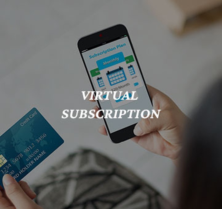 Virtual Subscription Program 2x per week Per Session