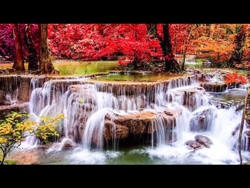 Rainforest Sounds - Water Sound Nature Meditation - Waterfall HD