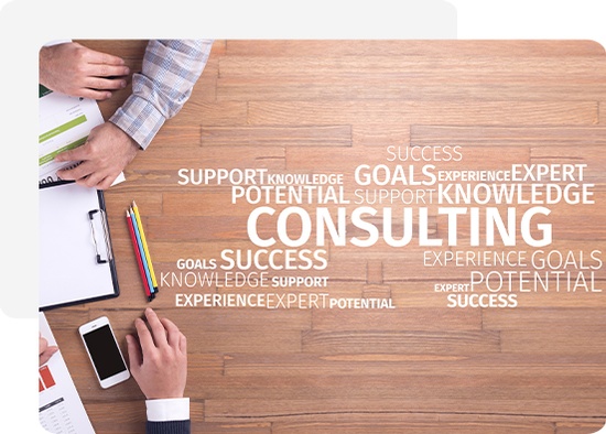 LSK Consulting Services