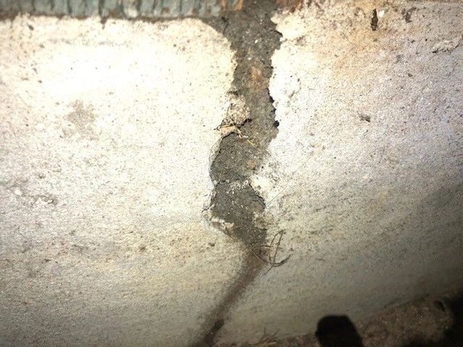 WDI Termite Inspection Hutto