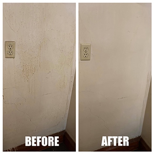 High-Quality Home Switches and Walls Cleaning done by Gold Standard Cleaning Co.