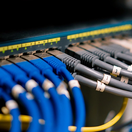 Professional network cabling installers working in Sparks