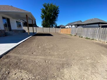 backyard before