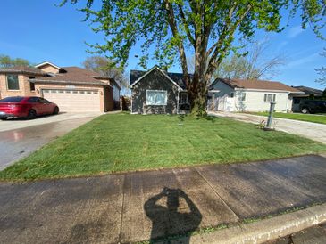 Sod in Front Yard
