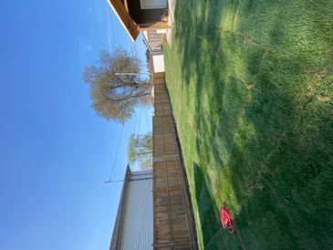 Backyard Sod