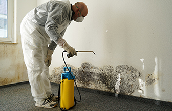 Our qualified technicians provide mould remediation services in Ottawa that help you to prevent adverse health effects