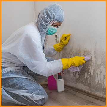 With our mould remediation services in Ottawa, we shield you from any health problems.