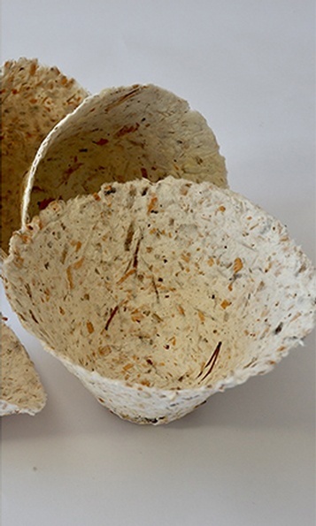 Natural paper containers online