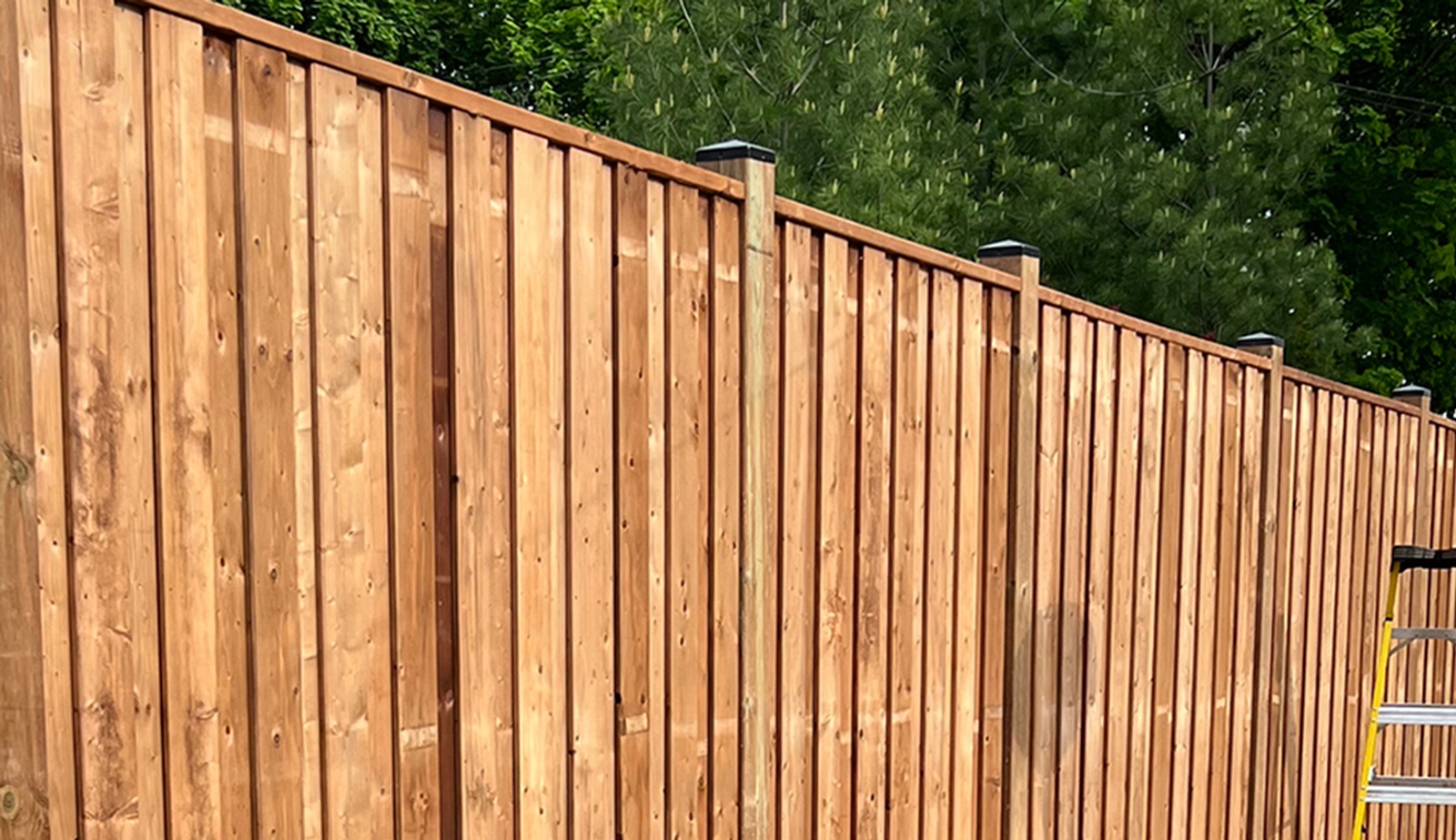 Solid Wood Fence Waterloo