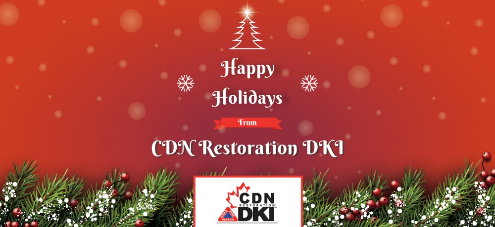 CDN-Restoration-DKI.jpg