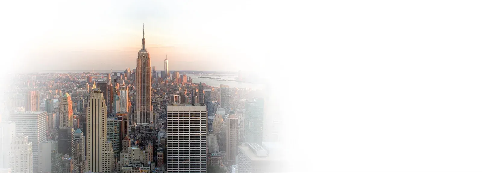 International Law New York