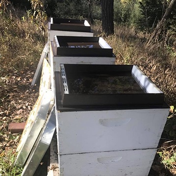 Bee Keeping Equipments Lincoln