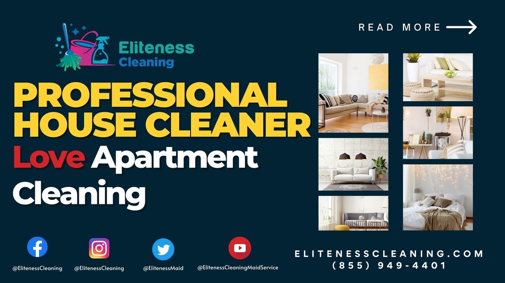 Why Do Professionals House Cleaners Love Apartment Cleaning?.jpeg
