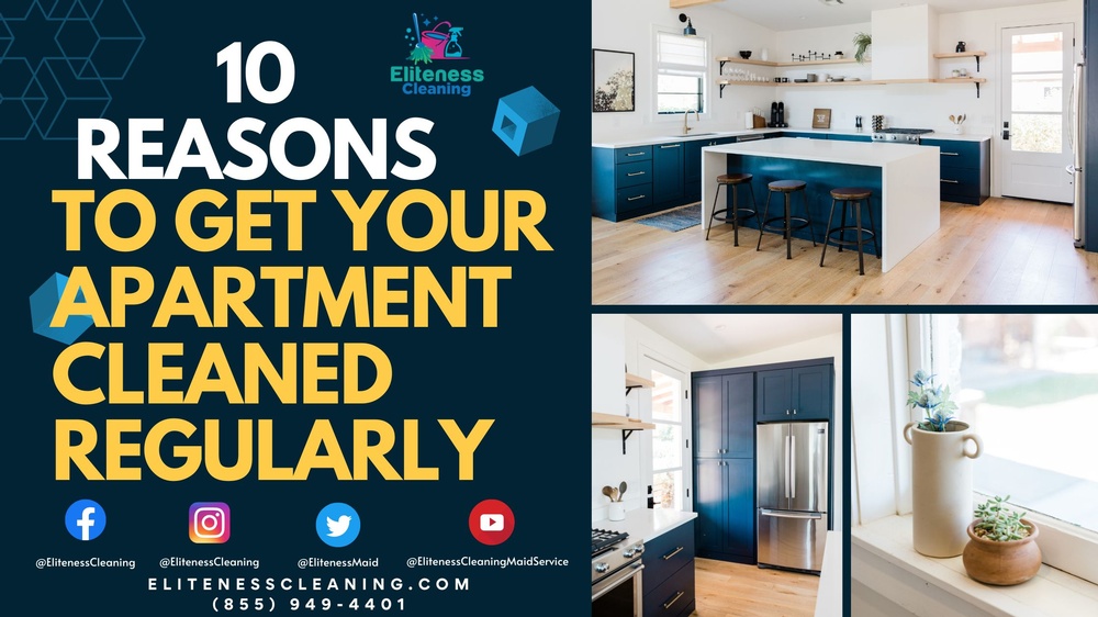 10 Reasons to Get Your Apartment Cleaned Regularly.jpeg