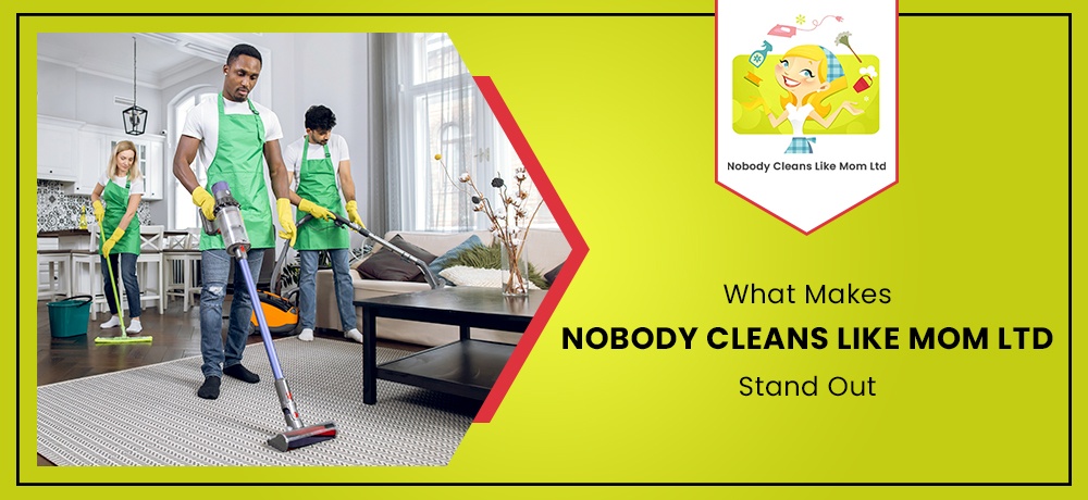 Nobody-Cleans-Like-Mom-Ltd---Month-2---Blog-Banner.jpg