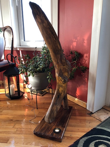 Driftwood Furniture for Sale