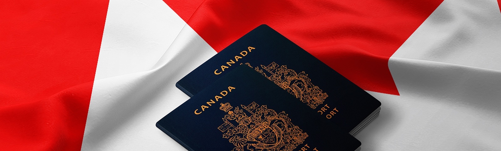 Regulated Canadian Immigration Consultant Toronto