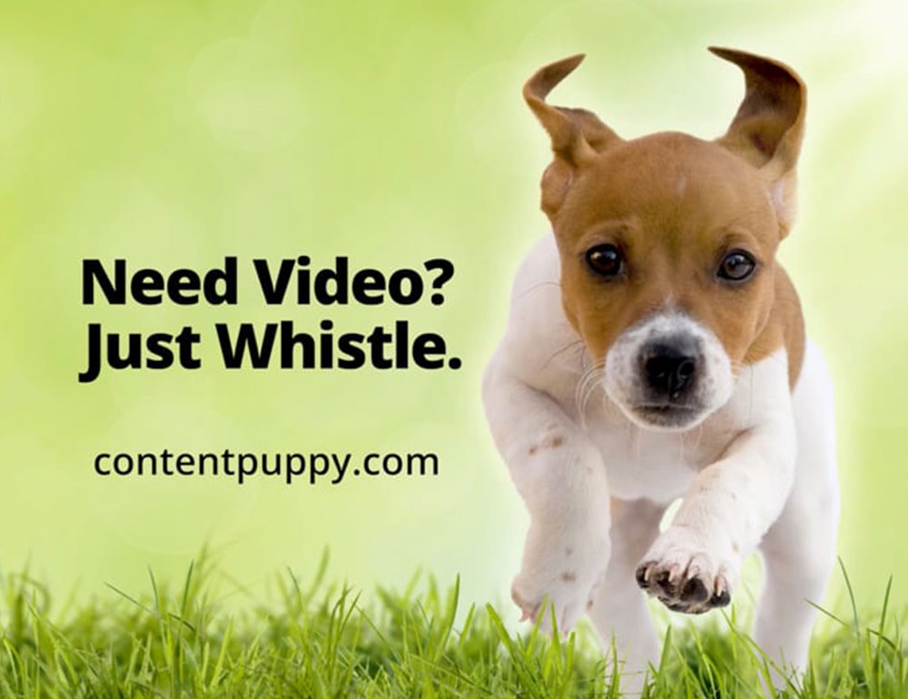 Blog by Content Puppy Productions