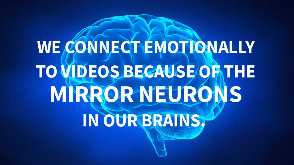 We connect emotionally to videos because of the mirror neurons in our brains.