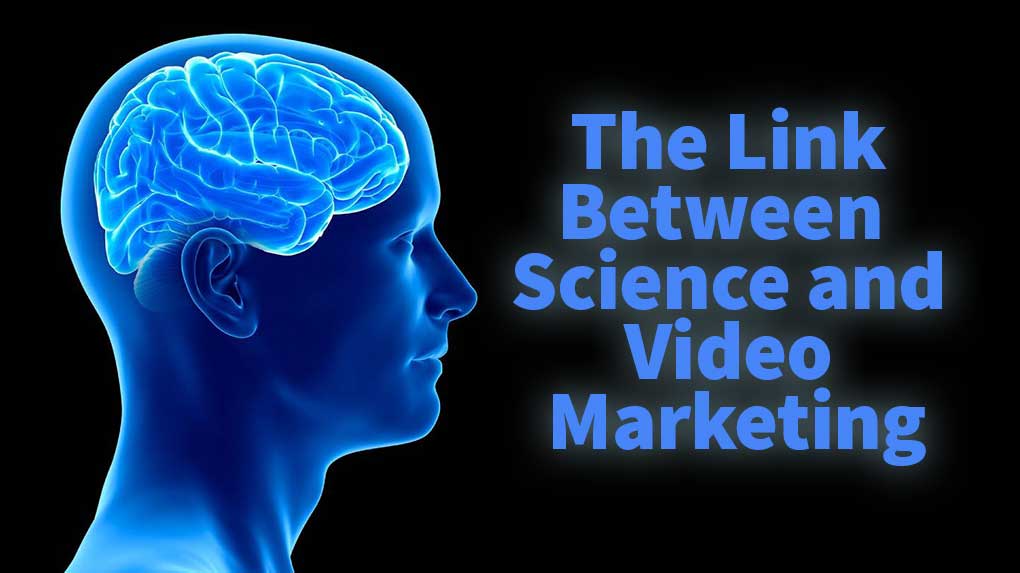 What's the link between science, the human brain, and video marketing?