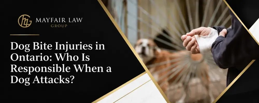 Blog by Mayfair Law Group
