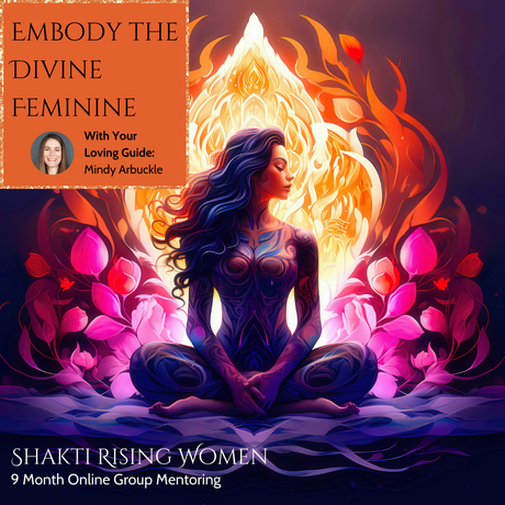 Shakti Rising Women Group Mentoring Program