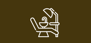 OUR SERVICES