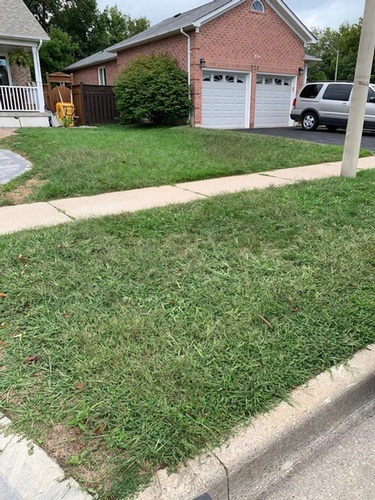 High-quality Sodding Services for a vibrant lawn by Scott's Junk and Beyond in Clarington