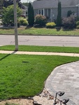 Sodding Services for a healthy and green lawn all year round by Scott's Junk and Beyond