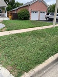 High-quality Sodding Services for a vibrant lawn by Scott's Junk and Beyond in Clarington