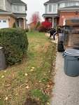 Professional Sodding Services for a flawless lawn by Scott's Junk and Beyond in Clarington