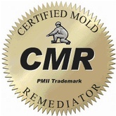 Mold Remediation Macon GA