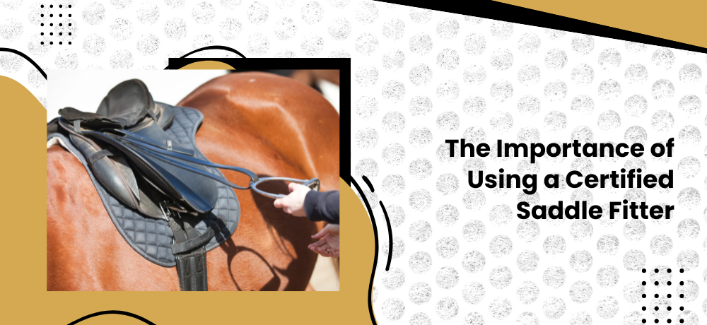 The Importance of Using a Certified Saddle Fitter