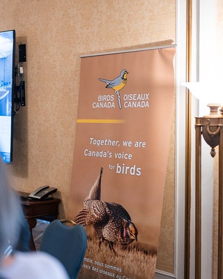 Bird Oiseaux Canada Event poster photo taken by Darkstrand Visuals