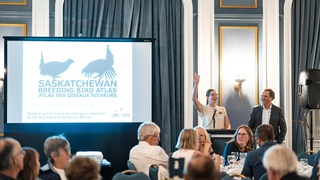 Speakers explaining about Saskatchewan breeding birds Atlas On screen photo taken by Darkstrand Visuals