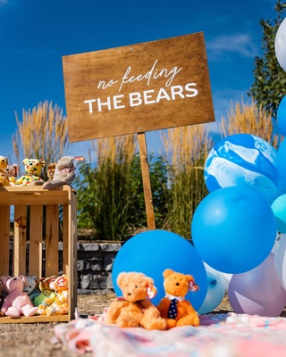 Photo by Darkstrand Visuals of timber board holding, teddy bears, and balloons