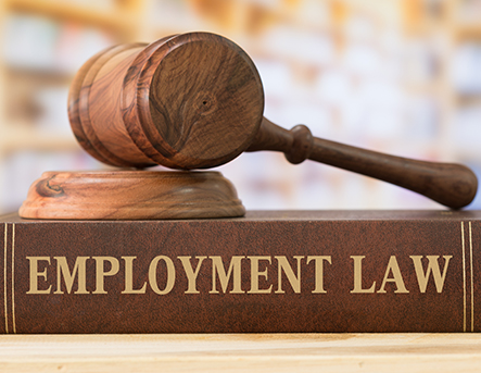 Employment law services to protect our client’s rights in the workplace