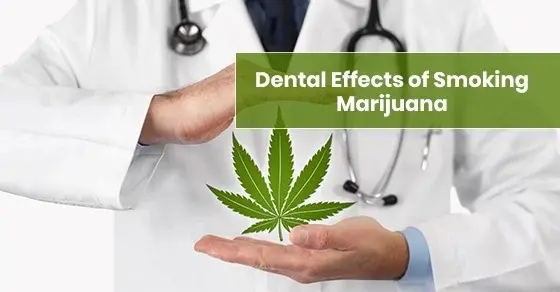 What You Need to Know About Marijuana: Dental 101