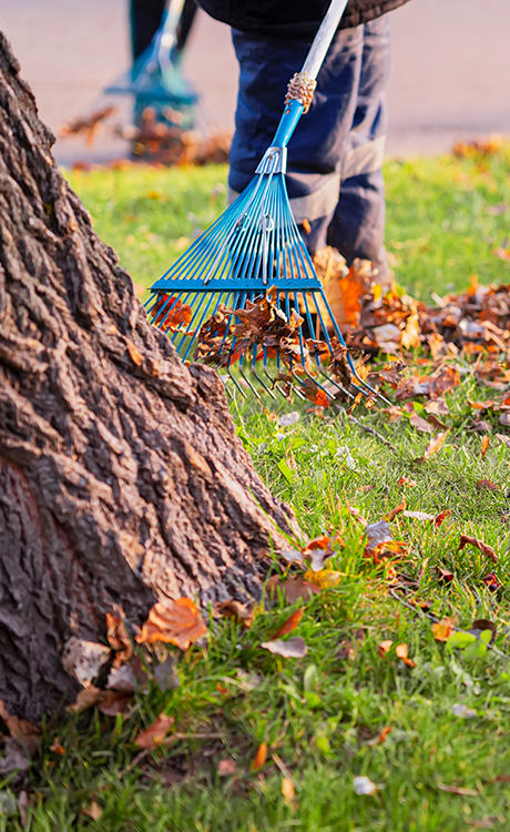 Expert Outdoor Property Cleanup Services: Transformative Solutions for a Pristine Property