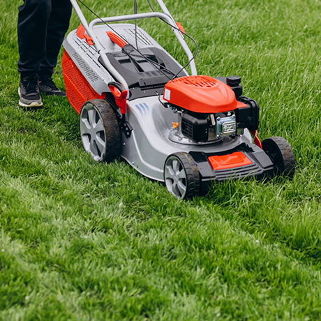 Grass Cutting in Owen Sound