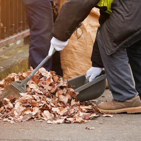 Yard Debris Cleanup Service