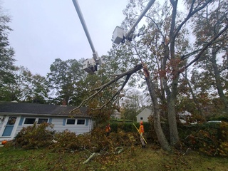 Our Arborist offer Tree Removal and Trimming Services by Aerial Work Utilities in USA, Canada