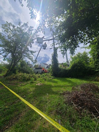Powerline Technician offers Tree Removal and Trimming Services by Aerial Work Utilities