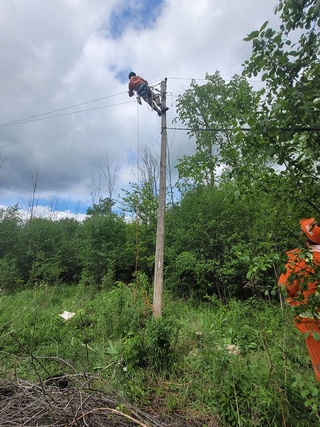 Tree Trimming and Removal Services by Experienced Arborist at Aerial Work Utilities in Canada, USA