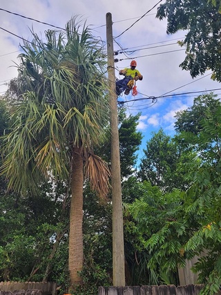 Powerline Technician offers Electrical Installation and Repair Services by Aerial Work Utilities
