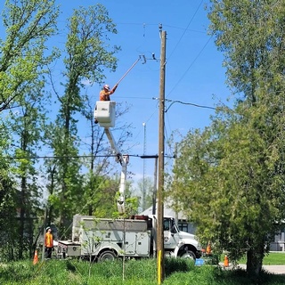 Expert Tree Trimming and Removal Services by Experienced Arborist at Aerial Work Utilities
