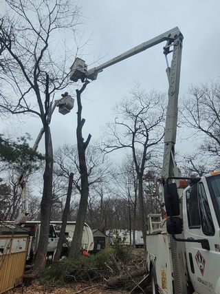 Aerial Work Utilities offers Electrical Installation and Repair Services by Aerial Work Utilities