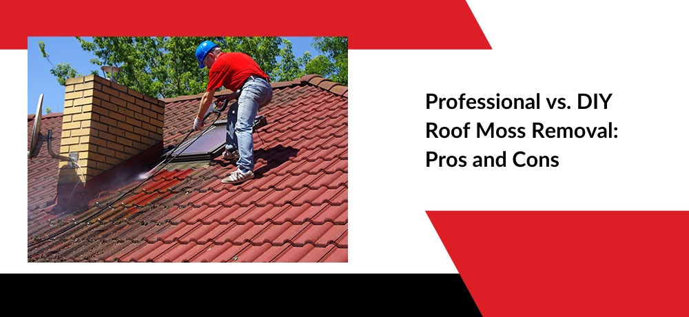 Professional vs. DIY Roof Moss Removal: Pros and Cons